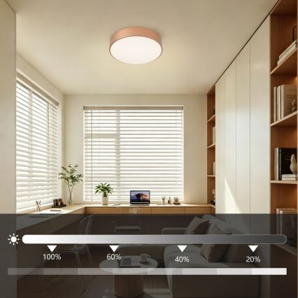 Brilagi - Ρυθμιζόμενο LED φωτιστικό οροφής POOL LED/24W/230V 3000-6000K διάμ. 20 cm μπρονζέ + τηλεχειριστήριο
