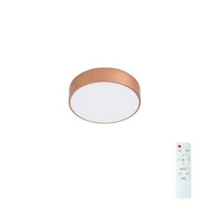 Brilagi - Ρυθμιζόμενο LED φωτιστικό οροφής POOL LED/24W/230V 3000-6000K διάμ. 20 cm μπρονζέ + τηλεχειριστήριο