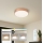 Brilagi - Ρυθμιζόμενο LED φωτιστικό οροφής POOL LED/36W/230V 3000-6000K Ø 30 cm μπρονζέ + τηλεχειριστήριο