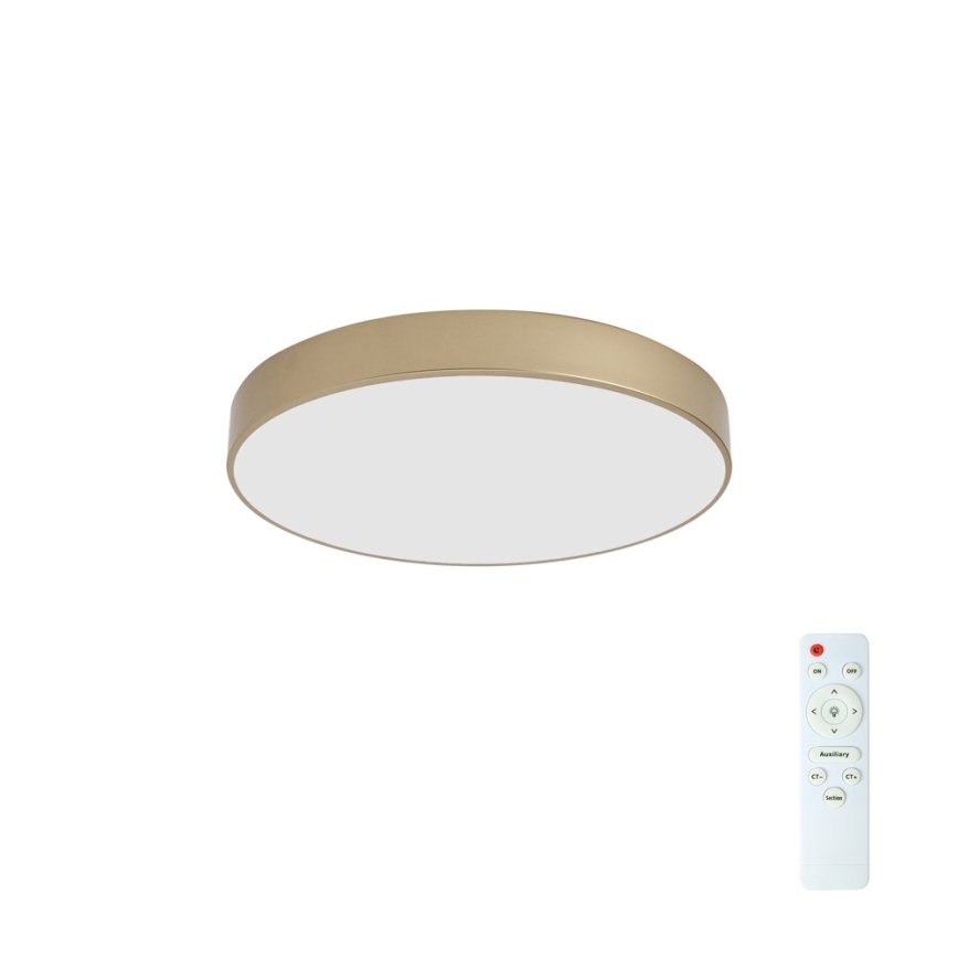Brilagi - Ρυθμιζόμενο LED φωτιστικό οροφής POOL LED/60W/230V 3000-6000K Ø 50 cm χρυσό + τηλεχειριστήριο