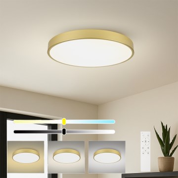Brilagi - Ρυθμιζόμενο LED φωτιστικό οροφής POOL SMART LED/100W/230V 3000-6000K 80 cm χρυσό Wi-Fi Tuya + τηλεχειριστήριο