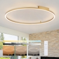 Brilagi - Ρυθμιζόμενο LED φωτιστικό οροφής PORTOFINO LED/85W/230V 3000-6000K διάμ. 120 cm χρυσό + τηλεχειριστήριο