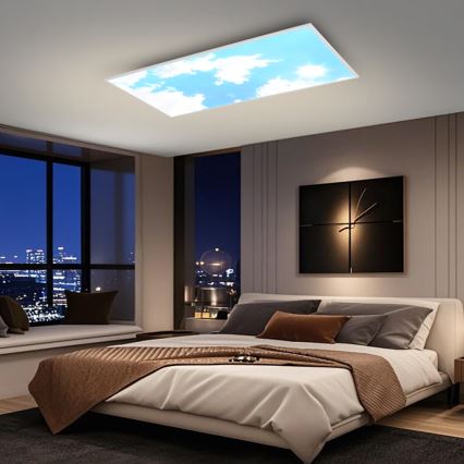 Brilagi - Ρυθμιζόμενο LED φωτιστικό οροφής SLIMFRAME LED/80W/230V 120x60 cm 3000-6000K ασημί/μπλε + τηλεχειριστήριο