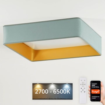 Brilagi - Ρυθμιζόμενο LED φωτιστικό οροφής VELVET SQUARE SMART LED/36W/230V 60x60 cm 2700-6500K Wi-Fi Tuya + τηλεχειριστήριο σε απόχρωση μέντας