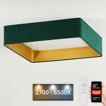 Brilagi - Ρυθμιζόμενο LED φωτιστικό οροφής VELVET SQUARE SMART LED/36W/230V 60x60 cm 2700-6500K Wi-Fi Tuya + τηλεχειριστήριο, πράσινο