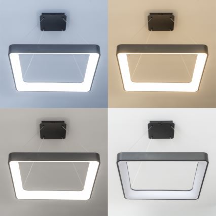 Brilagi - Ρυθμιζόμενο LED κρεμαστό φωτιστικό με σύρμα FALCON II LED/125W/230V 3000-6500K 60x60 cm μαύρο + τηλεχειριστήριο