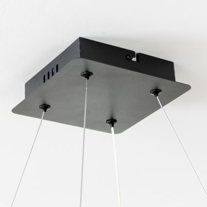 Brilagi - LED ρυθμιζόμενο κρεμαστό φωτιστικό σε καλώδιο FALCON II LED/80W/230V 3000-6500K 40x40 cm μαύρο + τηλεχειριστήριο