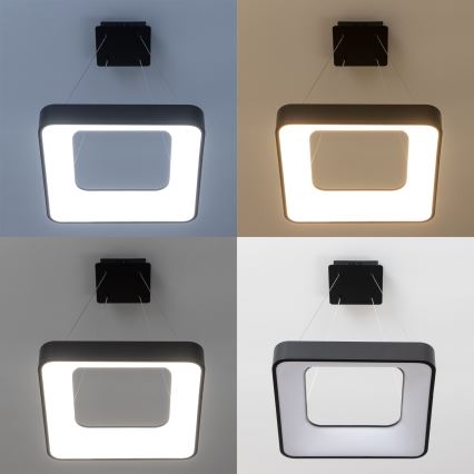 Brilagi - LED ρυθμιζόμενο κρεμαστό φωτιστικό σε καλώδιο FALCON II LED/80W/230V 3000-6500K 40x40 cm μαύρο + τηλεχειριστήριο