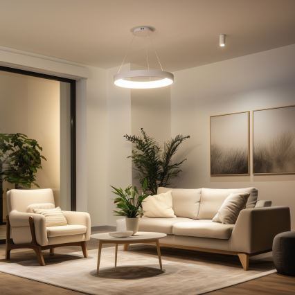 Brilagi - Ρυθμιζόμενο κρεμαστό φωτιστικό LED με ανάρτηση σε καλώδιο FALCON II LED/99W/230V 3000-6500K Ø 60 cm λευκό + τηλεχειριστήριο