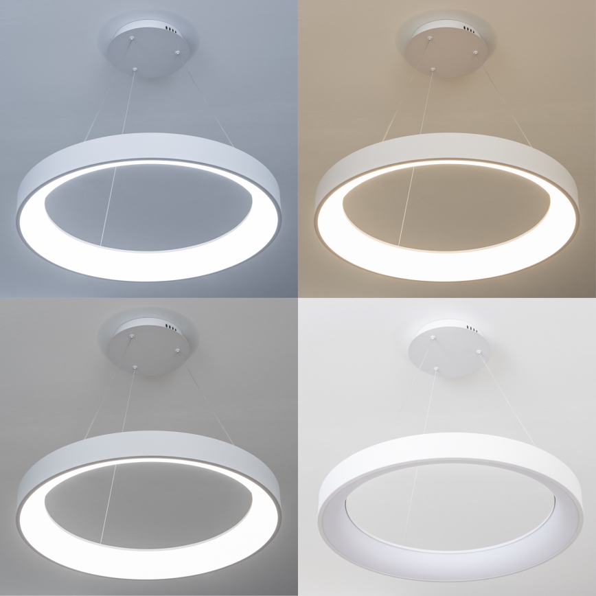 Brilagi - Ρυθμιζόμενο κρεμαστό φωτιστικό LED με ανάρτηση σε καλώδιο FALCON II LED/99W/230V 3000-6500K Ø 60 cm λευκό + τηλεχειριστήριο