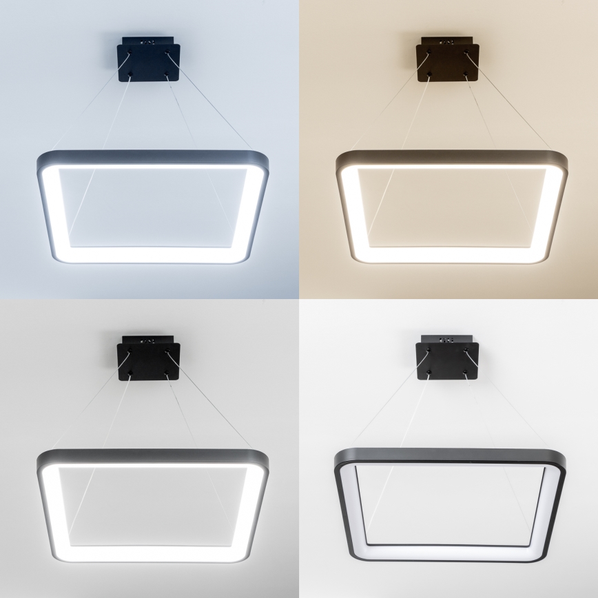 Brilagi - Ρυθμιζόμενο LED κρεμαστό φωτιστικό με καλώδιο FALCON SLIM LED/50W/230V 3000-6500K 50x50 cm μαύρο + τηλεχειριστήριο