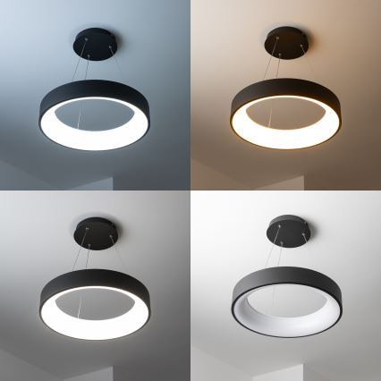 Brilagi - LED ρυθμιζόμενο κρεμαστό φωτιστικό με καλώδιο FALCON LED/40W/230V 3000-6500K διάμ. 45 cm μαύρο + τηλεχειριστήριο