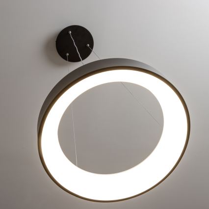 Brilagi - LED ρυθμιζόμενο κρεμαστό φωτιστικό με καλώδιο FALCON LED/40W/230V 3000-6500K διάμ. 45 cm μαύρο + τηλεχειριστήριο