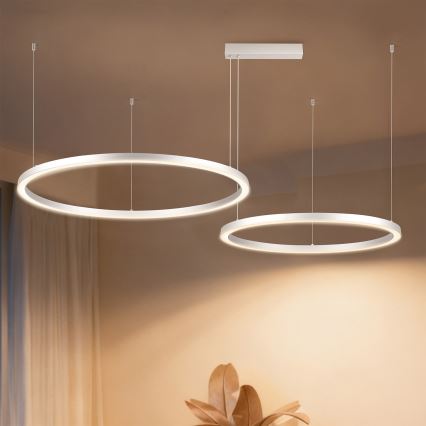 Brilagi - Ρυθμιζόμενος πολυέλαιος LED σε καλώδιο PORTOFINO LED/98W/230V 3000-6000K ασημί + τηλεχειριστήριο