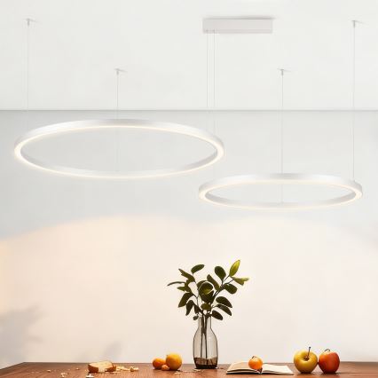 Brilagi - Ρυθμιζόμενος πολυέλαιος LED σε καλώδιο PORTOFINO LED/98W/230V 3000-6000K ασημί + τηλεχειριστήριο