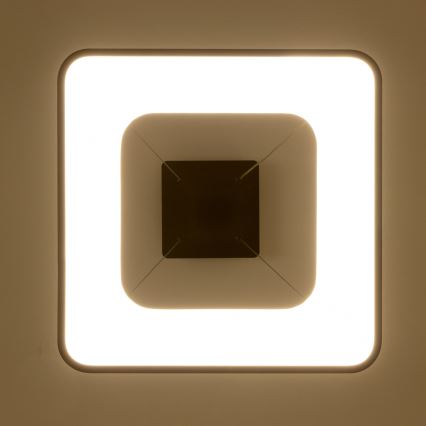 Brilagi - LED ρυθμιζόμενο κρεμαστό φωτιστικό με καλώδιο FALCON II LED/80W/230V 3000-6500K 40x40 cm μαύρο + τηλεχειριστήριο