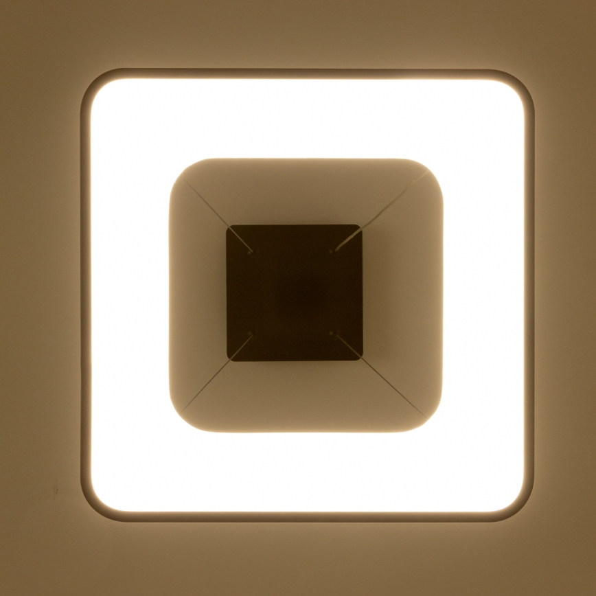 Brilagi - LED ρυθμιζόμενο κρεμαστό φωτιστικό με καλώδιο FALCON II LED/80W/230V 3000-6500K 40x40 cm μαύρο + τηλεχειριστήριο