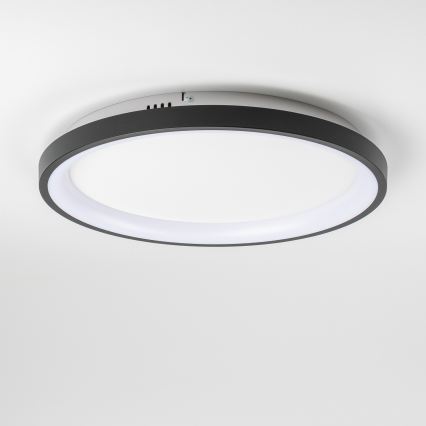 Brilagi - LED ρυθμιζόμενο φωτιστικό οροφής FALCON SLIM LED/42W/230V 3000-6500K Ø 50 cm μαύρο + τηλεχειριστήριο