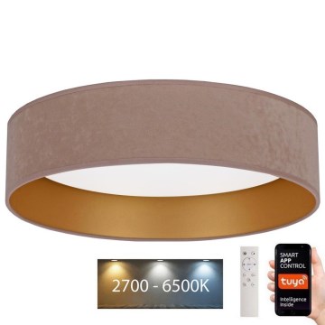 Brilagi - Ρυθμιζόμενο LED οροφής φωτιστικό VELVET SMART LED/36W/230V διάμ. 55 εκ. 2700-6500K Wi-Fi Tuya μπεζ/χρυσό + τηλεχειριστήριο