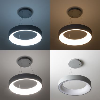 Brilagi - Ρυθμιζόμενο κρεμαστό φωτιστικό LED σε σύρμα FALCON LED/40W/230V 3000-6500K Ø 45 cm γκρι + τηλεχειριστήριο