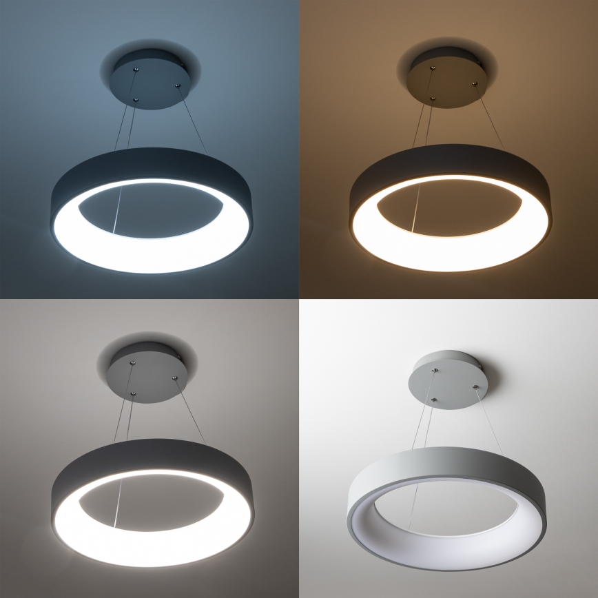 Brilagi - Ρυθμιζόμενο κρεμαστό φωτιστικό LED σε σύρμα FALCON LED/40W/230V 3000-6500K Ø 45 cm γκρι + τηλεχειριστήριο