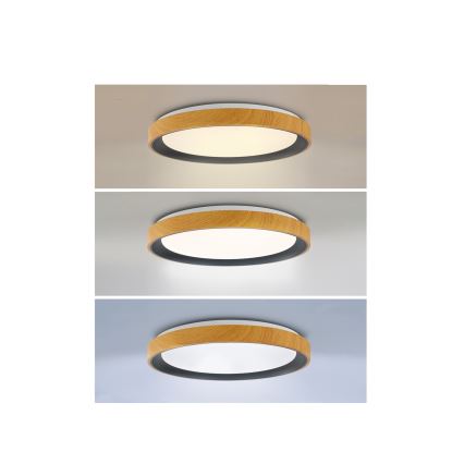 Brilagi - Ρυθμιζόμενο φωτιστικό οροφής LED FLOCO LED/48W/230V 3000-6500K Ø 40 cm απομίμηση ξύλου/μαύρο + τηλεχειριστήριο