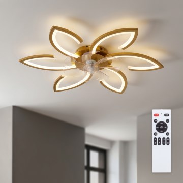 Brilagi - Ρυθμιζόμενος ανεμιστήρας οροφής LED/34W/230V 3000-6500K, διάμ. 78 cm, χρυσός + τηλεχειριστήριο