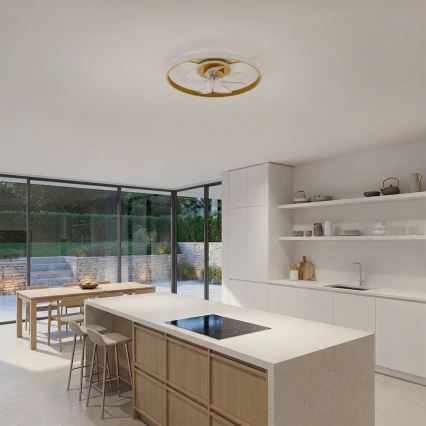 Brilagi - Ρυθμιζόμενος ανεμιστήρας οροφής με LED, 66W/230V, 55 cm, λευκό/χρυσό + τηλεχειριστήριο