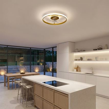 Brilagi - Ρυθμιζόμενος ανεμιστήρας οροφής με LED, 66W/230V, 55 cm, λευκό/χρυσό + τηλεχειριστήριο