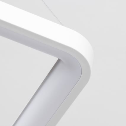 Brilagi - Ρυθμιζόμενο LED κρεμαστό φωτιστικό σε καλώδιο FALCON SLIM LED/50W/230V 3000-6500K 50x50 cm λευκό + τηλεχειριστήριο