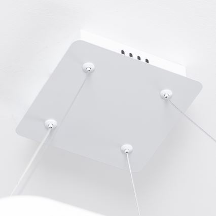 Brilagi - Ρυθμιζόμενο LED κρεμαστό φωτιστικό σε καλώδιο FALCON SLIM LED/50W/230V 3000-6500K 50x50 cm λευκό + τηλεχειριστήριο