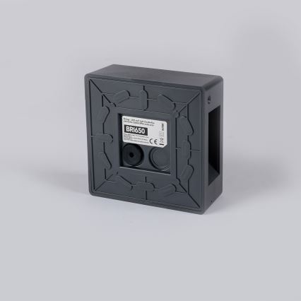 Brilagi - Επιτοίχιο εξωτερικό φωτιστικό LED DOUBLERAY LED/6W/230V ανθρακί IP54