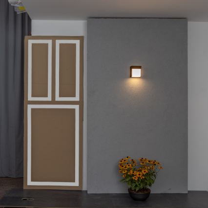 BRILAGI - Επιτοίχιο υπαίθριο φωτιστικό LED TERNI LED/12W/230V καφέ IP44