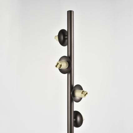 Brilagi - Επιδαπέδιο φωτιστικό LED MILLA 7xG9/3W/230V καφέ/καπνιστό καφέ