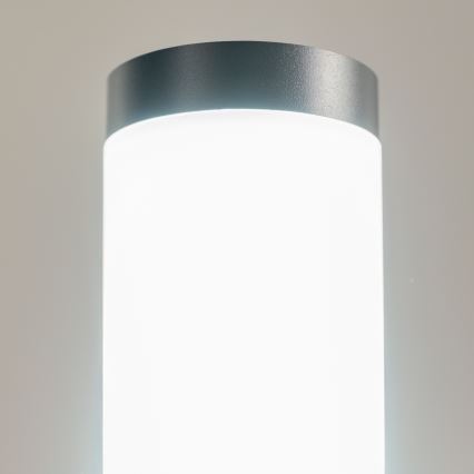 BRILAGI - Εξωτερικό φωτιστικό LED ELIA 1xE27/7W/230V 4000K IP44 100 cm ανθρακί