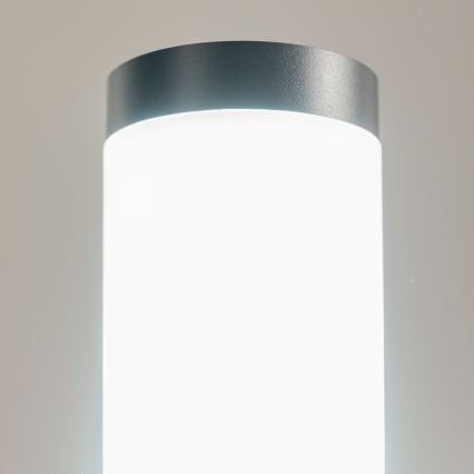 BRILAGI - Εξωτερικό φωτιστικό LED ELIA 1xE27/7W/230V 4000K IP44 50 cm ανθρακί