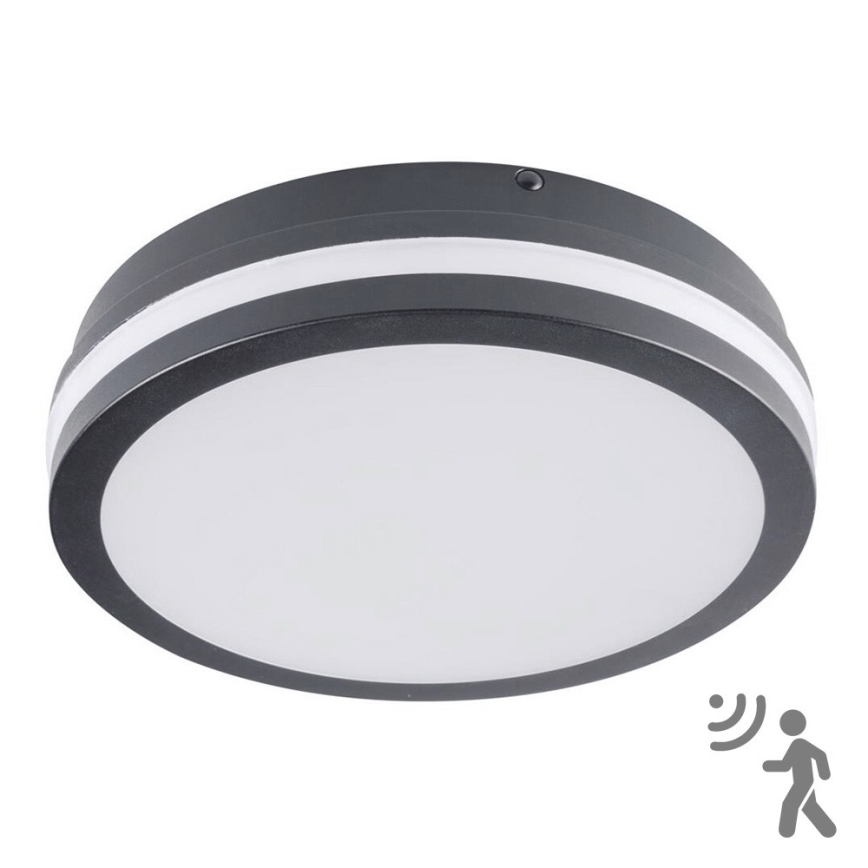 Brilagi - Εξωτερικό φωτιστικό LED με αισθητήρα BENE LED/18W/230V, διάμ. 22 cm, ανθρακί IP54