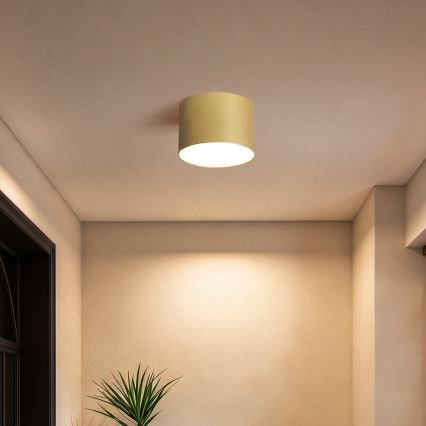 BRILAGI - Εξωτερικό φωτιστικό οροφής FORIS LED/9W/230V Ø 9 cm χρυσό IP44