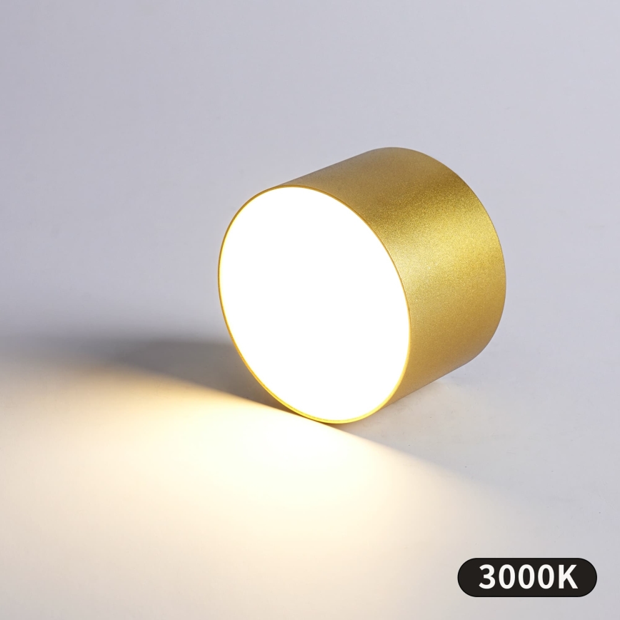 BRILAGI - Εξωτερικό φωτιστικό οροφής FORIS LED/9W/230V Ø 9 cm χρυσό IP44