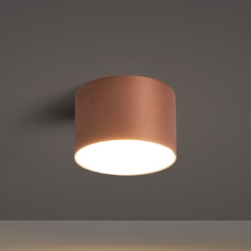 BRILAGI - Εξωτερικό φωτιστικό οροφής FORIS LED/9W/230V διάμ. 9 εκ. μπρονζέ IP44