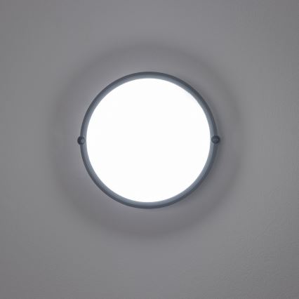 Brilagi - Βιομηχανικό φως οροφής LED SIMA LED/12W/230V IP65 μαύρο