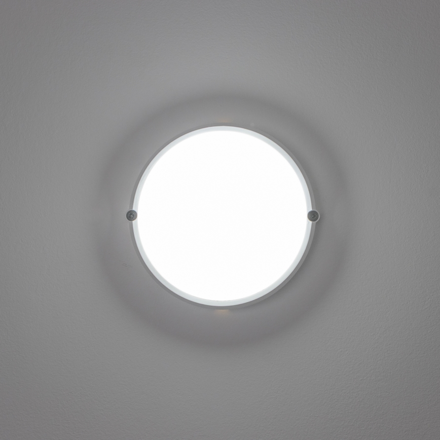 Brilagi - Βιομηχανικό φως οροφής LED SIMA LED/12W/230V IP65 λευκό