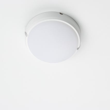 Brilagi - Βιομηχανικό φως οροφής LED SIMA LED/12W/230V IP65 λευκό