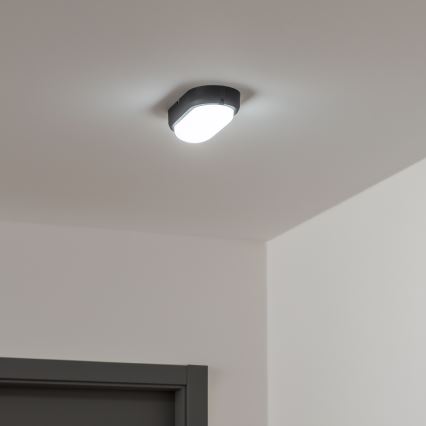 Brilagi - Βιομηχανικό φως οροφής LED SIMA LED/12W/230V IP65 μαύρο