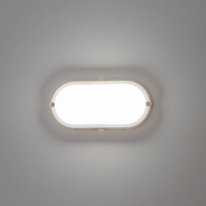 Brilagi - Βιομηχανικό φωτιστικό οροφής LED SIMA LED/12W/230V IP65 λευκό