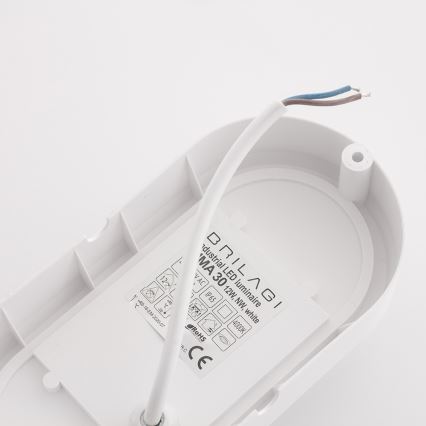 Brilagi - Βιομηχανικό φωτιστικό οροφής LED SIMA LED/12W/230V IP65 λευκό