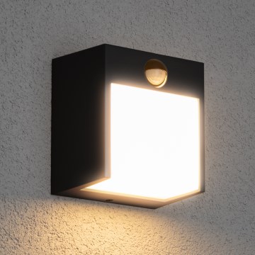 Brilagi - Εξωτερικό επιτοίχιο φωτιστικό LED με αισθητήρα TERNI LED/12W/230V μαύρο IP44