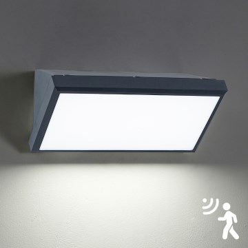 Brilagi - Εξωτερικό επιτοίχιο φωτιστικό LED με αισθητήρα TRIANGLE LED/20W/230V ανθρακί IP65