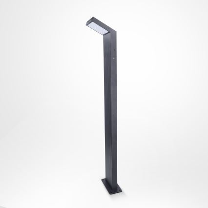 Brilagi - Εξωτερικό φωτιστικό LED RIANO LED/8W/230V ανθρακί IP65
