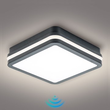 Brilagi - Εξωτερικό φωτιστικό LED με αισθητήρα BENE LED/18W/230V 22x22 εκ. ανθρακί IP54